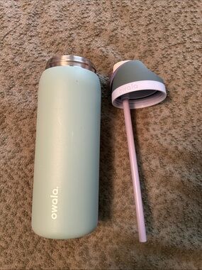 Owala Mint Green Stainless Water Bottle with Purple Straw Lid